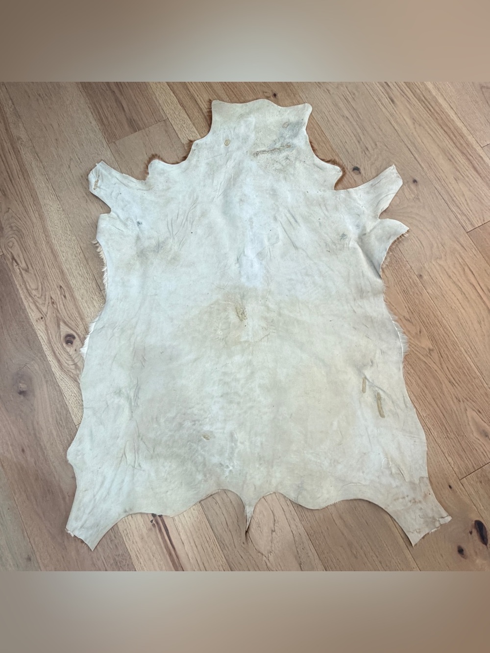 Vintage Genuine Goatskin Hide Rug Mallorca Spain Brown & White Hair-On Hide - Picture 7 of 11